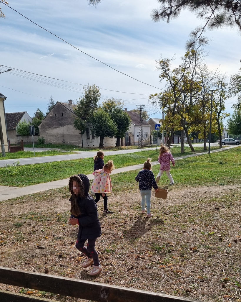 JPEG 20251021 162100 7694711101185368382