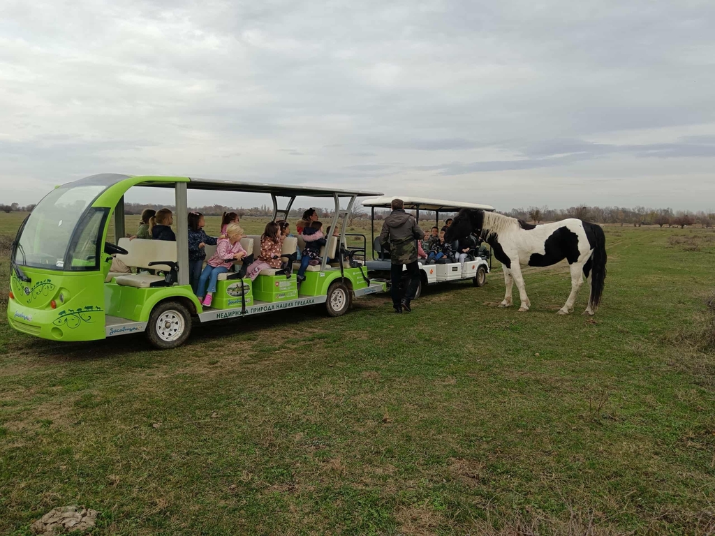 JPEG 20251118 153319 5711462362013576636