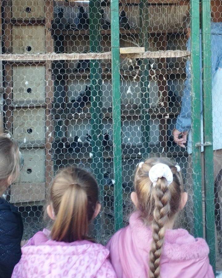 IMG 22d41d140243933c8006c6bdaa522a3b V