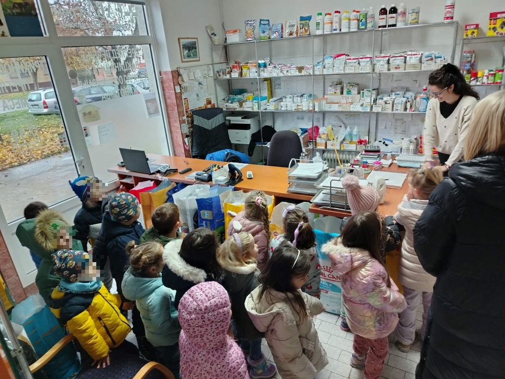 JPEG 20251127 093538 135449904258584437